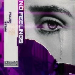 Setam  –  No Feelings (Ft Fallen)